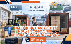 LCL Và FCL Là Gì? Cách Chọn Hàng Lẻ Hay Nguyên Container Khi Nhập Hàng Trung Quốc