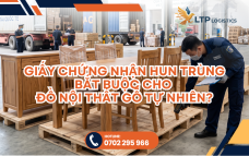 Nhập Hàng Trung Quốc: Giấy Chứng Nhận Hun Trùng (Fumigation) Bắt Buộc Cho Đồ Nội Thất Gỗ Tự Nhiên?