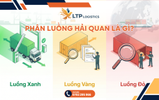 Ý Nghĩa Phân Luồng Hải Quan: Xanh, Vàng, Đỏ | LTP Logistics
